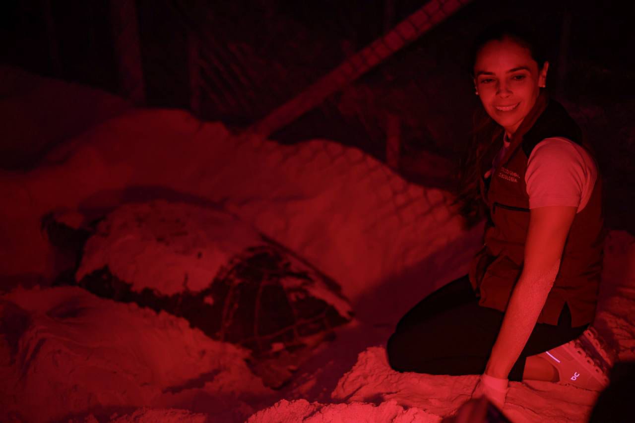 uploads/6/32/01 (422).Jpg